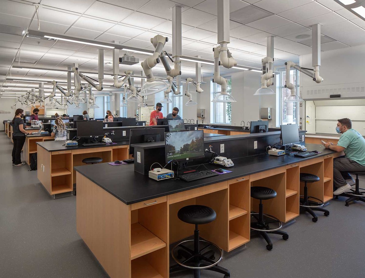 Labs